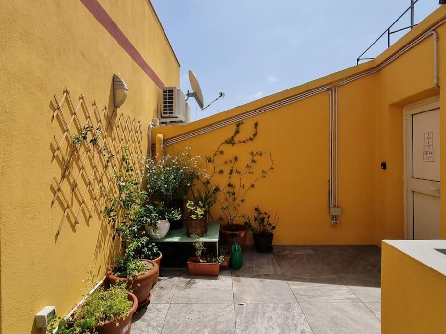 Casa Pares - Rooftop Appartement *