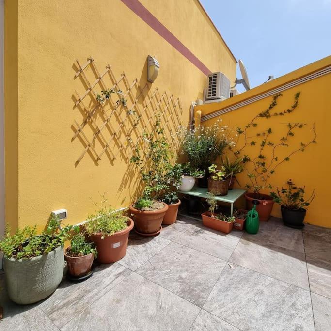 Casa Pares - Rooftop *