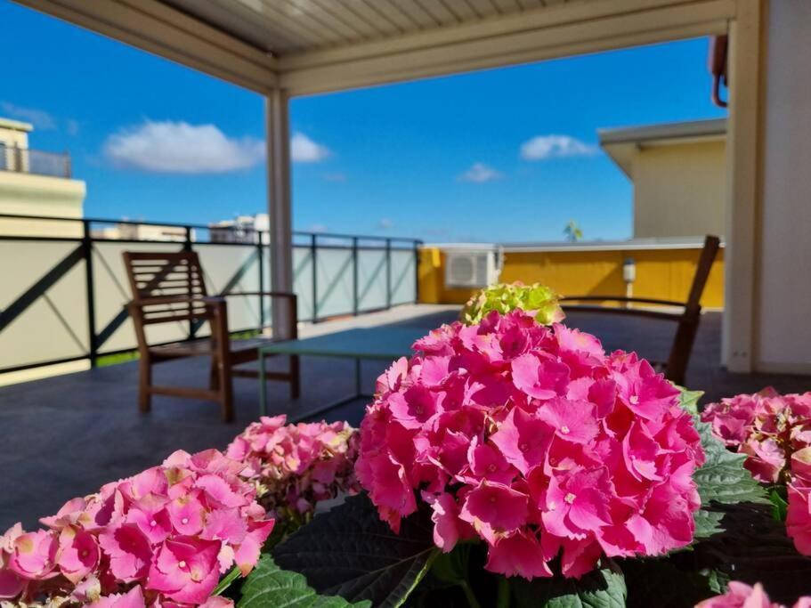 Casa Pares - Rooftop *