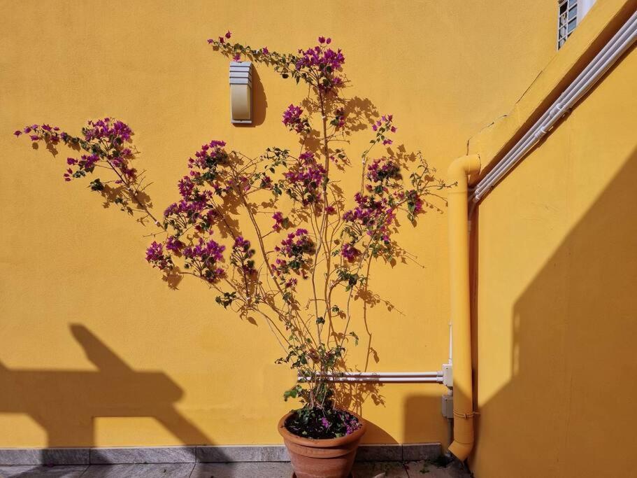 Appartement Casa Pares - Rooftop *
