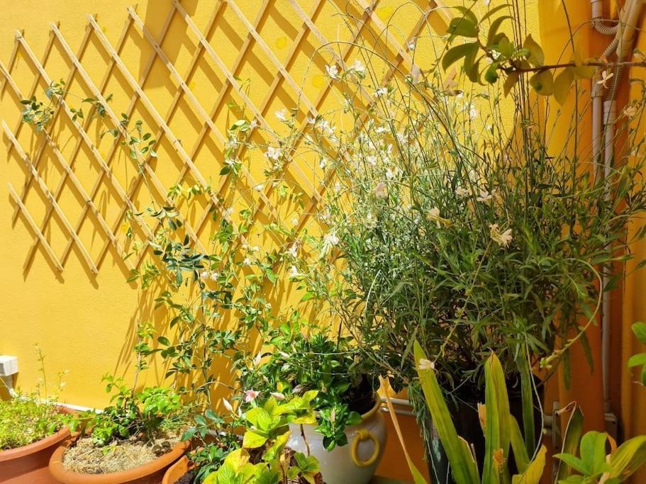 Casa Pares - Rooftop * Cagliari